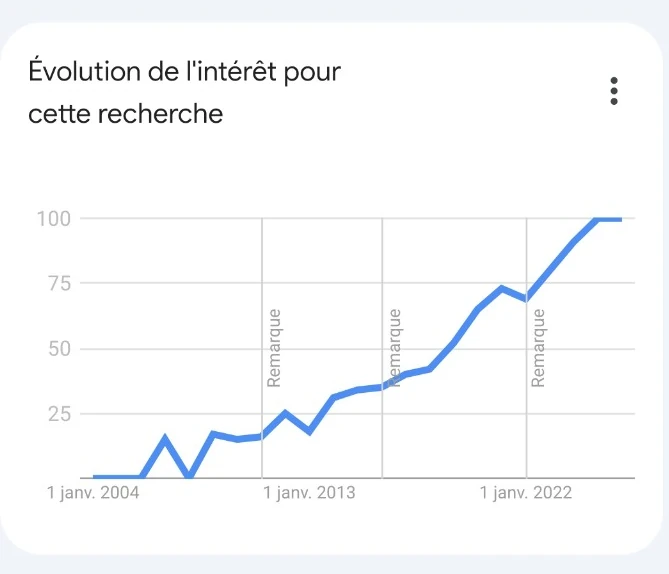 Évolution des recherches Google sur le tapis de pierre